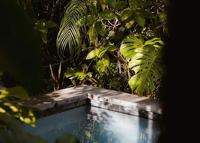 Nalu Pool Mar *
